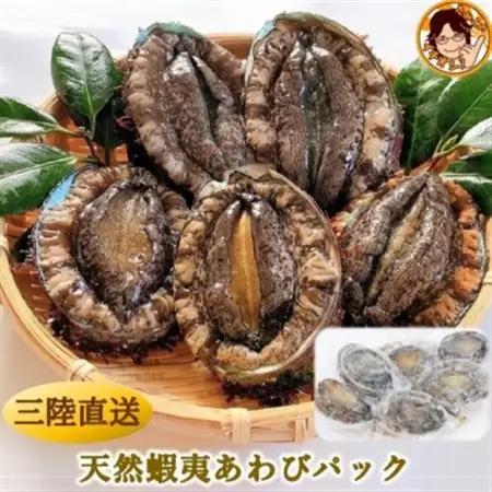 三陸産　天然蝦夷あわび(冷凍)約1kg　6～8個(捌き方・レシピ付き)【配送不可地域：離島】【1589193】