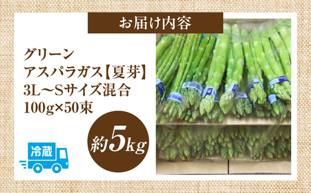【夏芽】グリーンアスパラガス　サイズ混合約5kg_mk006-004