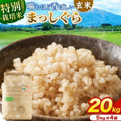 ふるさと納税 弘前市 米【特別栽培米】まっしぐら 玄米 20kg(5kg×4袋)令和7年産|24_mft-122001