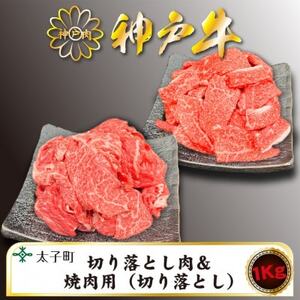 訳あり神戸牛　TSSY2S　切り落とし・焼肉(不揃い)　500gずつセット【配送不可地域：離島】【1509908】