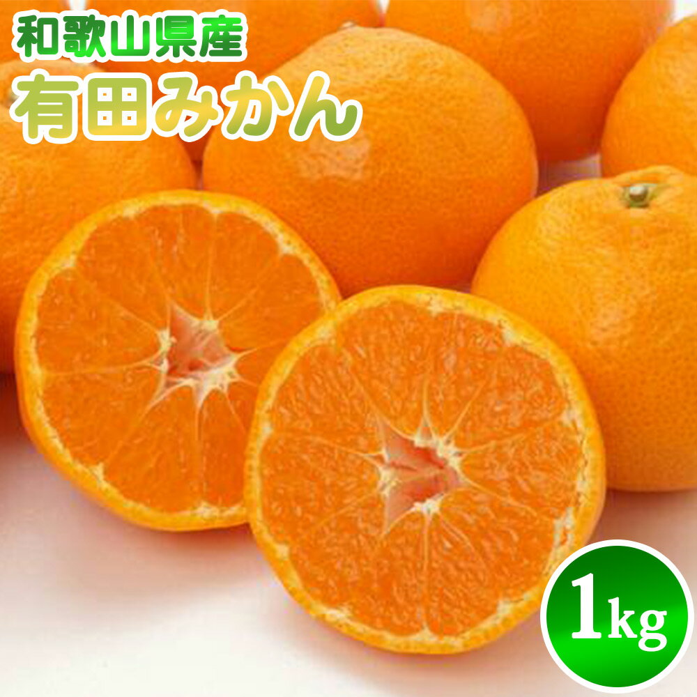 【ふるさと納税】【2026年先行予約】有田みかん 1kg サイズ混合