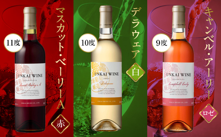 【最速便】【贈答用】雲海ワイン(赤・白・ロゼ)720ml 3本セット ギフト箱入り ワイン 飲み比べ 赤ワイン 白ワイン ロゼワイン