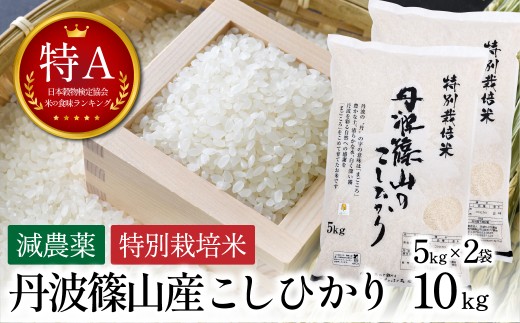 新米予約 令和8年産〈スピード出荷〉【特A 減農薬】 特別栽培米こしひかり 5kg×2袋 計10kg お米 精米 コシヒカリ 丹波篠山産 コメ こめ お米　こしひかり