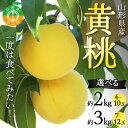 【ふるさと納税】 《2025年先行予約》 数量が選べる 山形県産 一度は食べてみたい！黄桃（有袋・無袋） 桃 もも フルーツ 果物 くだもの 山形県 中山町 F4A-0431var