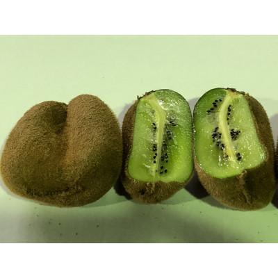 ふるさと納税 小豆島町 ご家庭用香緑キウイ　約1.5kg |  | 01