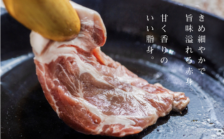 保美豚プレミアム・真空冷凍 豚肉無添加　3品目入り ／ 豚肉 加工品 ロースカツ用豚肉 モモ豚肉 ウインナー 完全薬剤不使用 愛知県 産地直送 田原市 渥美半島 豚肉 ブランド豚肉