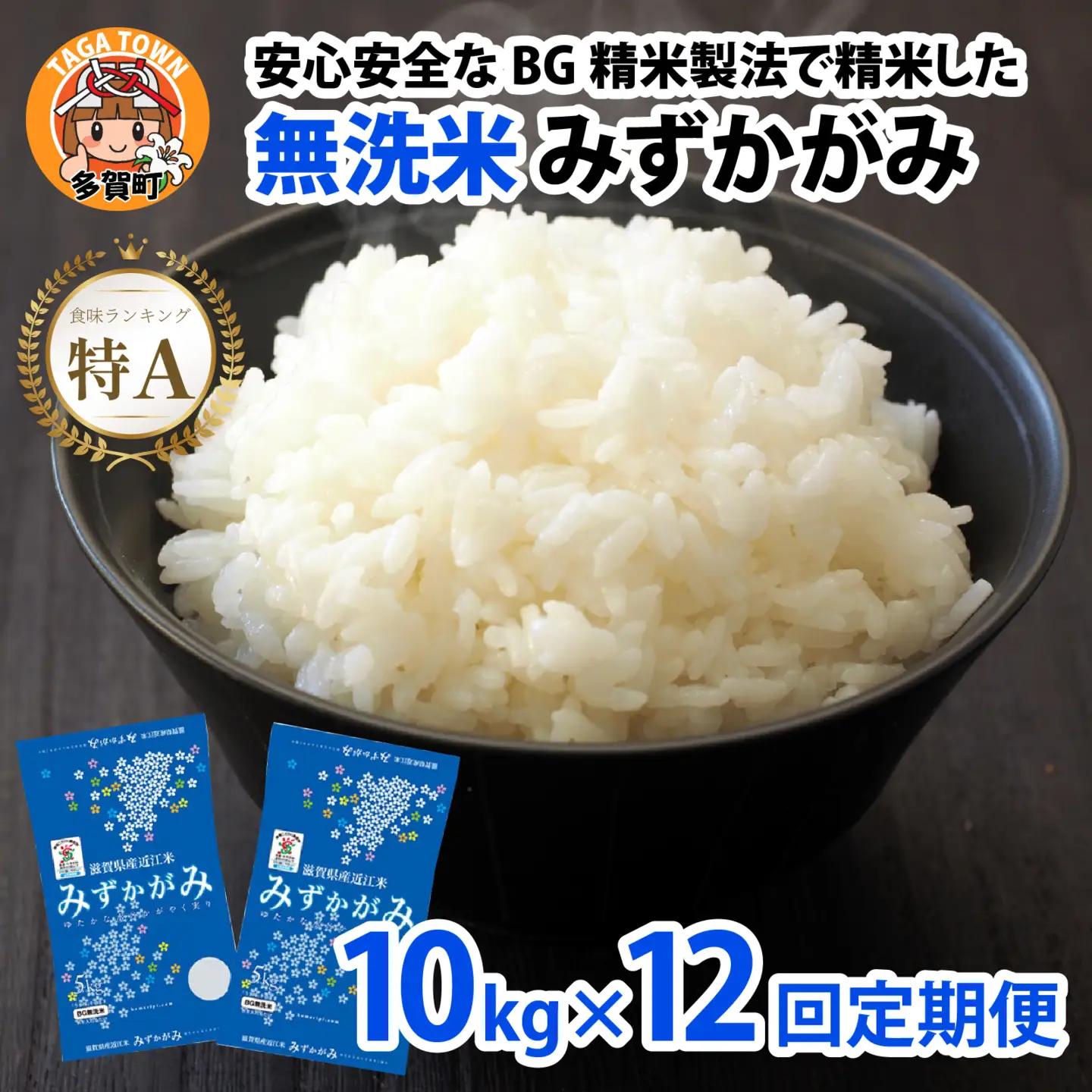 【先行予約】【令和8年産新米早期予約 毎月定期配送・計12回】 BG無洗米みずかがみ10kg×12回 [R-00404] / 無洗米