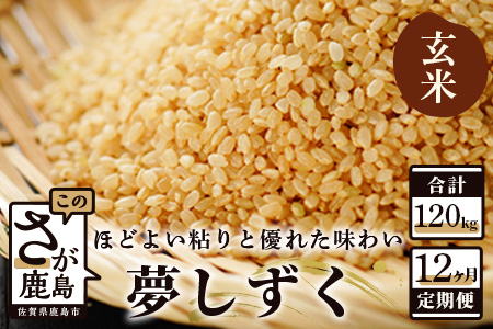 定期便 12ヶ月 佐賀県産 夢しずく 玄米 10kg《12ヶ月連続 毎月お届け》S-4 12回 玄米10kg×12回定期便