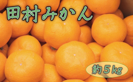 
田村みかん約5kg
