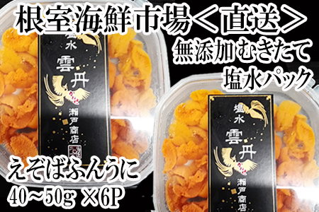 根室海鮮市場＜直送＞エゾバフンウニ(赤系)塩水パック40～50g×6P C-28052