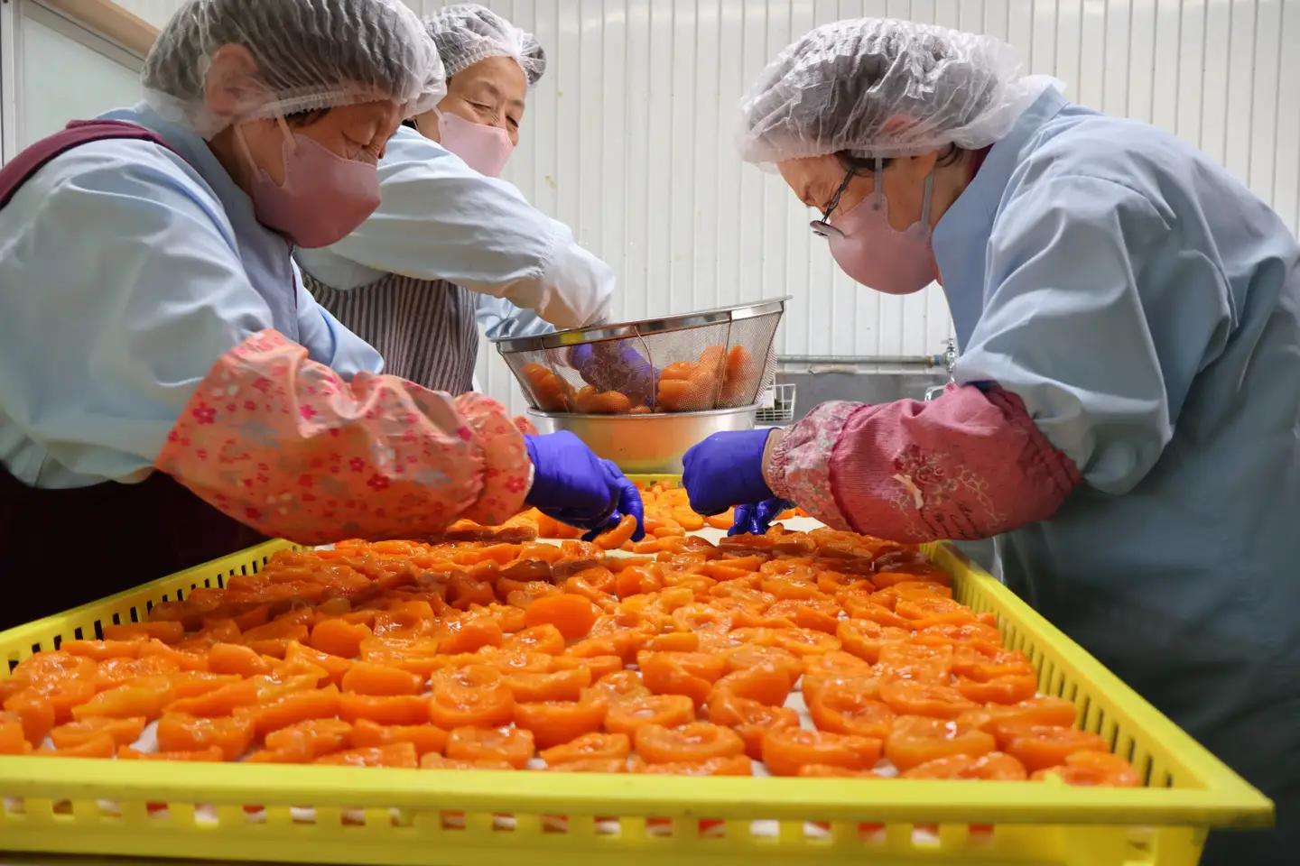 あんず ドライフルーツ 信州産 干熟 ドライ あんず 100g×3袋 |あんず
