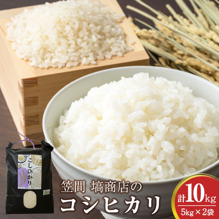 【ふるさと納税】令和7年度産 笠間 塙商店の コシヒカリ 10kg（5kg×2） 米 新米 精米 ブランド米 お米 白米 国産 おにぎり 弁当 R7年産 ごはん おいしい 旨い ふっくら お米 茨城県 笠間市 いばらき