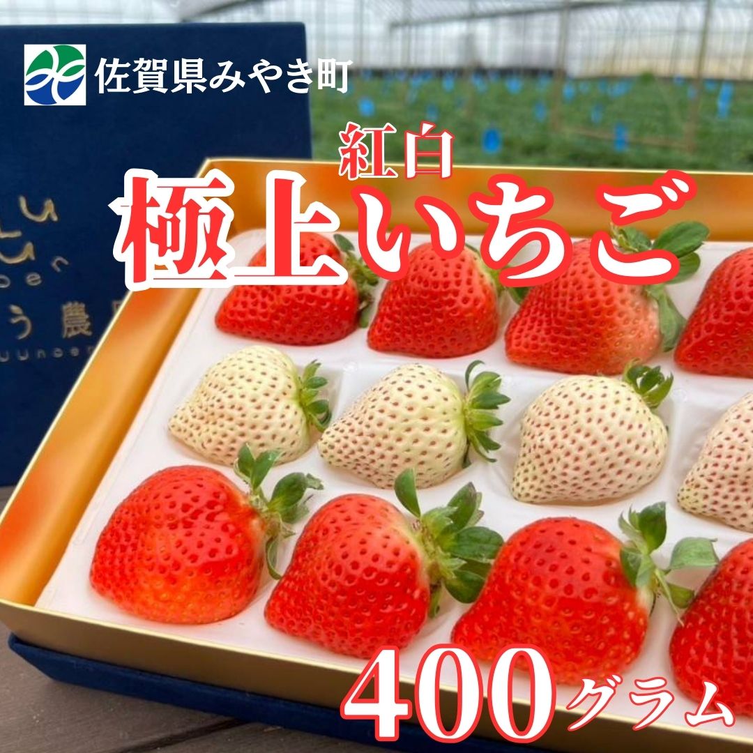 【ふるさと納税】【2025年11月中旬～2026年4月発送】極上 紅白いちご 400g（GF006）