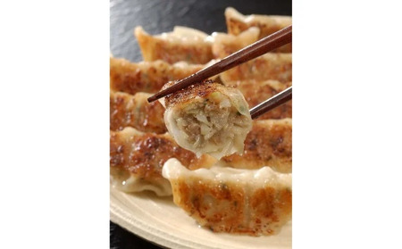 芦屋 伊東屋謹製「黒豚餃子」2折セット（味噌タレ付き）＜お中元 到着目安7月中旬＞【餃子 ぎょうざ ギョーザ 中華 点心 惣菜 おかず おつまみ 冷凍総菜 ジューシー 肉汁 鹿児島産 黒豚 国産豚肉 