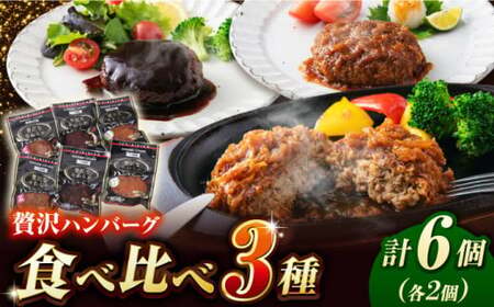 贅沢なやわらかハンバーグ 3種食べ比べ 計6個セット 白川町 / 一力屋[AWAE003]