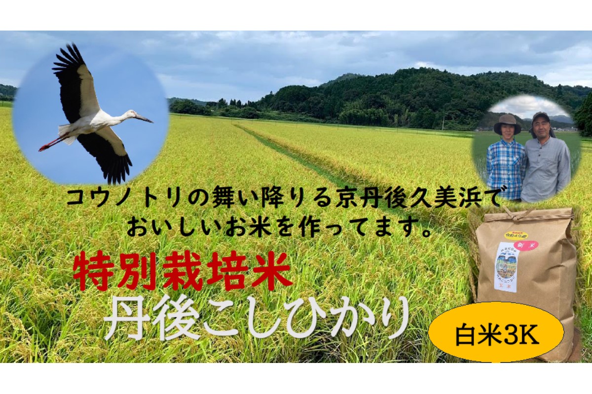 【先行予約】令和7年産　丹後こしひかり　白米3kg　【特別栽培米】新米　KU00064