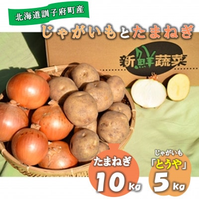 【先行受付　9月中旬以降発送】佐藤農場のじゃがいも「とうや」5kgと玉葱10kgセット【配送不可地域：離島・沖縄県】