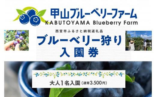 
            甲山ブルーベリーファーム ブルーベリー狩り入園券（大人1名）
          