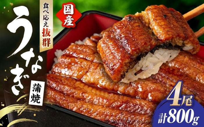 
                  うなぎ蒲焼 うなぎ 国産 4尾 約800g | うなぎ ウナギ unagi 国産鰻 こくさんうなぎ 蒲焼 蒲焼き かばやき 国産 魚介 海鮮 魚 鰻 うなぎ ウナギ 蒲焼国産 惣菜 おかず 鰻の蒲焼 冷凍 明治創業 老舗 伝統 国産 土用丑の日 丑の日 秘伝のタレ お祝い ご褒美 滋賀県長浜市/株式会社 魚三 [AQDF009] 
                