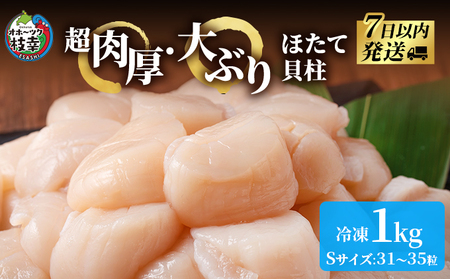 ほたて貝柱 冷凍 大玉 枝幸ほたて 北海道産 ほたて貝柱【1kg Sサイズ 31～35粒】
