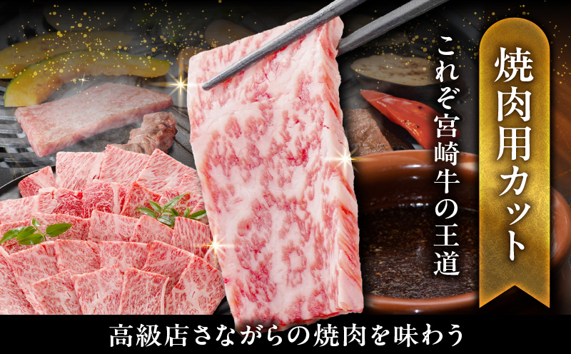 畜産農家応援! 宮崎牛ロース焼肉用 500g_MJ-N207_イメージ3