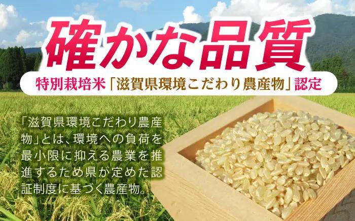 低農薬栽培 ミルキークイーン 玄米5kg[AQBL022] 玄米