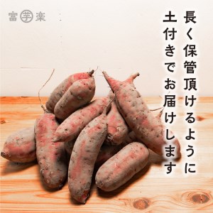 干し芋屋のさつまいも 熟成 紅はるか 生芋 10kg 無添加 無着色 茨城県産 サツマイモ 土付き 芋 さつまいも さつま芋 薩摩芋 紅遥 べにはるか_CE005