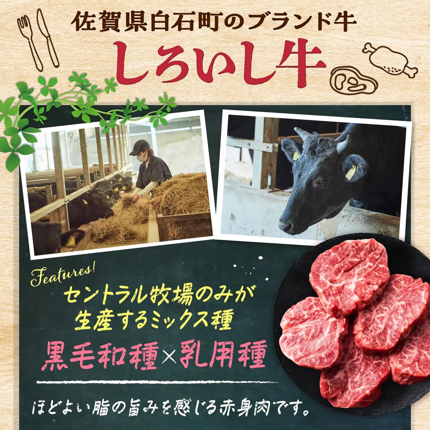 佐賀県産 しろいし牛 煮込み用 1，000g(500g×2パック) / 牧場直送 国産 牛肉 ビーフシチュー / 佐賀県 / 有限会社佐賀セントラル牧場[41ASAA322]