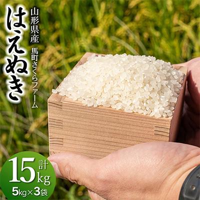 ふるさと納税 鶴岡市 【令和7年産】 馬町さくらファームのはえぬき 精米 15kg(5kg×3袋)  [K-7147]