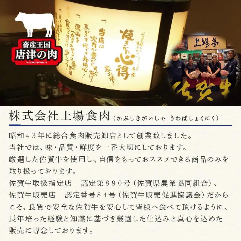 佐賀牛仕込みハンバーグ 120g×2個×6P(合計12個)