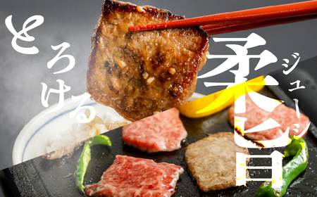 飛騨牛 カルビ焼肉 500g 冷凍 焼き肉 JAひだ 飛騨牛 [AH003]