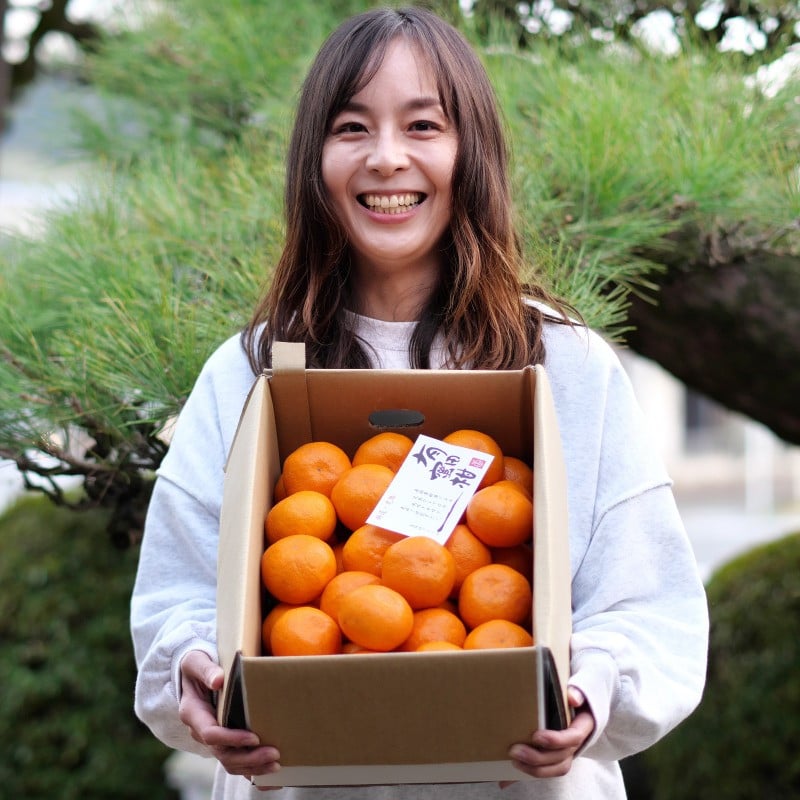 
            ▼有田みかん しにせの味 (1kg) サイズお任せ ※11月上旬～翌年2月中旬頃に順次発送予定/ 熟成 完熟 甘い みかん 温州みかん 和歌山 有田 果物 柑橘 【tkf004-r-1】
          