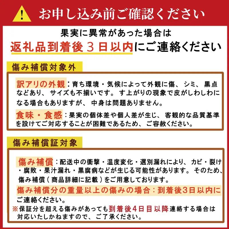 【先行予約】愛媛みかん 3kg (傷み補償200g付き)  みかん 愛媛県 愛南町 吉本農園