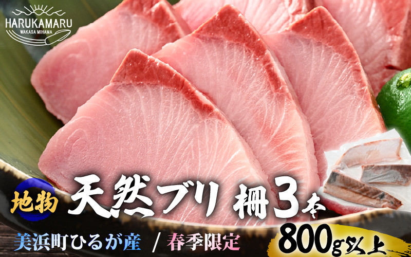 
            天然！地物！ひるがの春ぶり 柵3本【合計800g以上】【照り焼き ぶり大根 ぶりしゃぶ ぶり ブリ 鰤 ブリトロ ぶりとろ 生食 刺身 海鮮丼 日向 福井 美浜 海鮮 冷凍 旬 プレゼント】 [m36-b012]
          