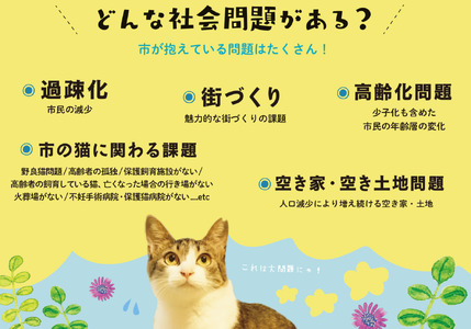 SAVE THE CAT HIDA PROJECT　ネコリパブリックの保護猫シェルター＆ホスピスに名前を刻める権利[neko08n]