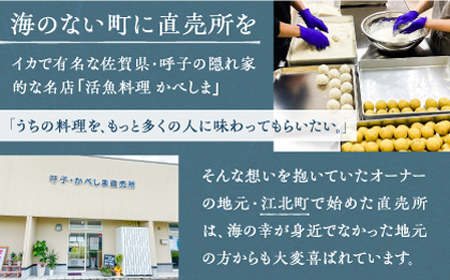 【全3回定期便】かべしまのいか焼売いかすみ焼売10個入り【呼子かべしま直売所】HCL050 いかしゅうまい焼売イカしゅうまいイカイカ焼売