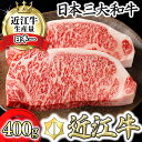 カネ吉山本 近江牛 ステーキ用 サーロイン 400g(約200g×2枚) 4等級以上