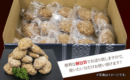おおいた和牛100% ハンバーグ 約70g×14個 合計約1kg 牛肉 豊後牛 ハンバーグ おかず お弁当 小分け レンジ 時短料理 惣菜 冷凍 大分県産 九州産 津久見市 国産