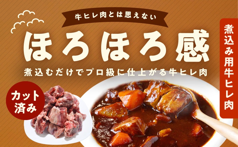 mrz0418 【氷温熟成×極味付け】煮込み用 牛ヒレ肉 切り落とし 1kg＆牛すじ肉 500g 総量1.5kg【スピード発送 訳あり サイズ不揃い 小分け 冷凍 SDGs フードロス カレー 煮込みに】