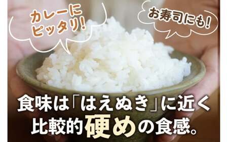 【白米】山形県産 棚田米 白鷹ほまれ 10kg 【令和7年産】 山形95号 令和7年産 米 お米 精米 コメ おこめ ごはん ご飯 白米 10キロ