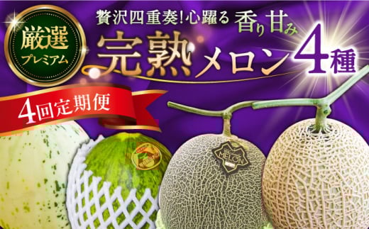 【4回定期便】【2026年3月中旬〜発送】＜メロン食べ比べ＞平成新山メロンPREMIUM（とみちゃん厳選）パパイヤ しらかば グリーン アールス / メロン めろん 果物 フルーツ 青肉 / 南島原市 / うえだメロン園 [SAD012]
