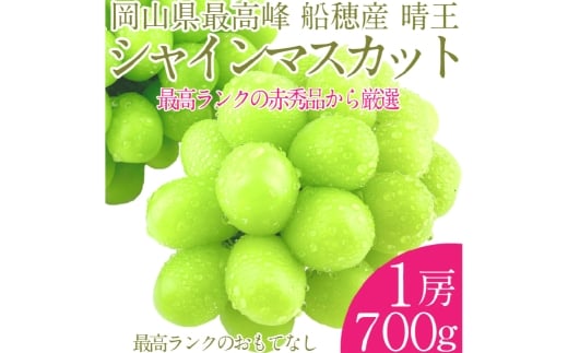 プレミアム シャインマスカット 晴王 1房 約700g 種無し  皮ごと食べる  フレッシュ  旬の美味しさ【2025年9月上旬-10月下旬 発送予定】【シャインマスカット マスカット ぶどう 葡萄 岡山県産   種無し 皮ごと食べる みずみずしい 9月～10月お届け フレッシュ 晴れの国おかやま 果物大国 贈答品 彩美菜果 岡山県 倉敷市 おすすめ 人気 】