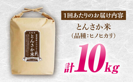 【南島原市産ヒノヒカリ】とんさか米 10kg×3回 定期便 / ひのひかり 米 お米 こめ コメ 精米 / 南島原市 / 林田米穀店 [SCO006]