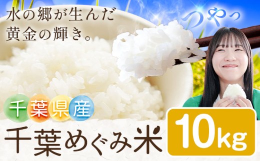 米 お米 千葉県産 千葉めぐみ米 10kg 千葉県我孫子市《9月下旬-10月末頃出荷予定》白米 精米 国産 10キロ 千葉県我孫子市