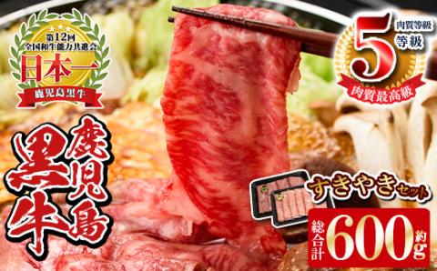 y189 《数量限定》D101 鹿児島黒牛すきやきセット(総合計600g) 国産 九州産 鹿児島県産 牛肉 黒毛和牛 和牛 国産牛 お肉 スライス すき焼き しゃぶしゃぶ 小分け 冷凍【湧水町JAあいら】