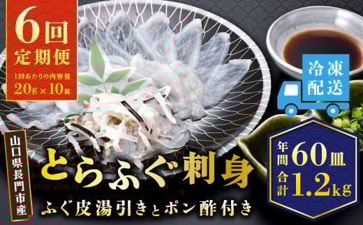 
            【定期便】とらふぐ刺身1人前×10皿【ふぐ刺身 ふぐ ふぐ刺し 定期便 隔月10皿（10人前）×6ヶ月 フグ 河豚 山口県 人気 国産 とらふぐ 宴会 板前 ポン酢 薬味 家族】
          