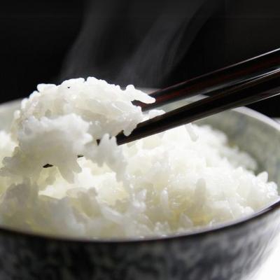 ふるさと納税 三条市 新米 新潟県認証特別栽培米 コシヒカリ 3kg(1×3袋)[しただ米] 令和7年産【010S658】 |  | 01