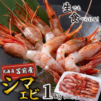 ふるさと納税 苫前町 【数量限定】北海道苫前産 シマエビ 1kg(500g×2) しまえび 縞海老 えび kit13