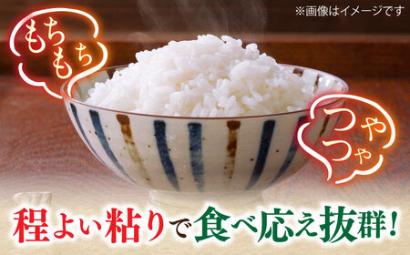 【令和6年産】元気つくし 15kg （5kg×3袋） 米 こめ コメ お米 ご飯 ごはん 精米 白米 新米 ライス 元気つくし 県産米 国産米 ブランド米 福岡 広川町 / JAふくおか八女農産物直売