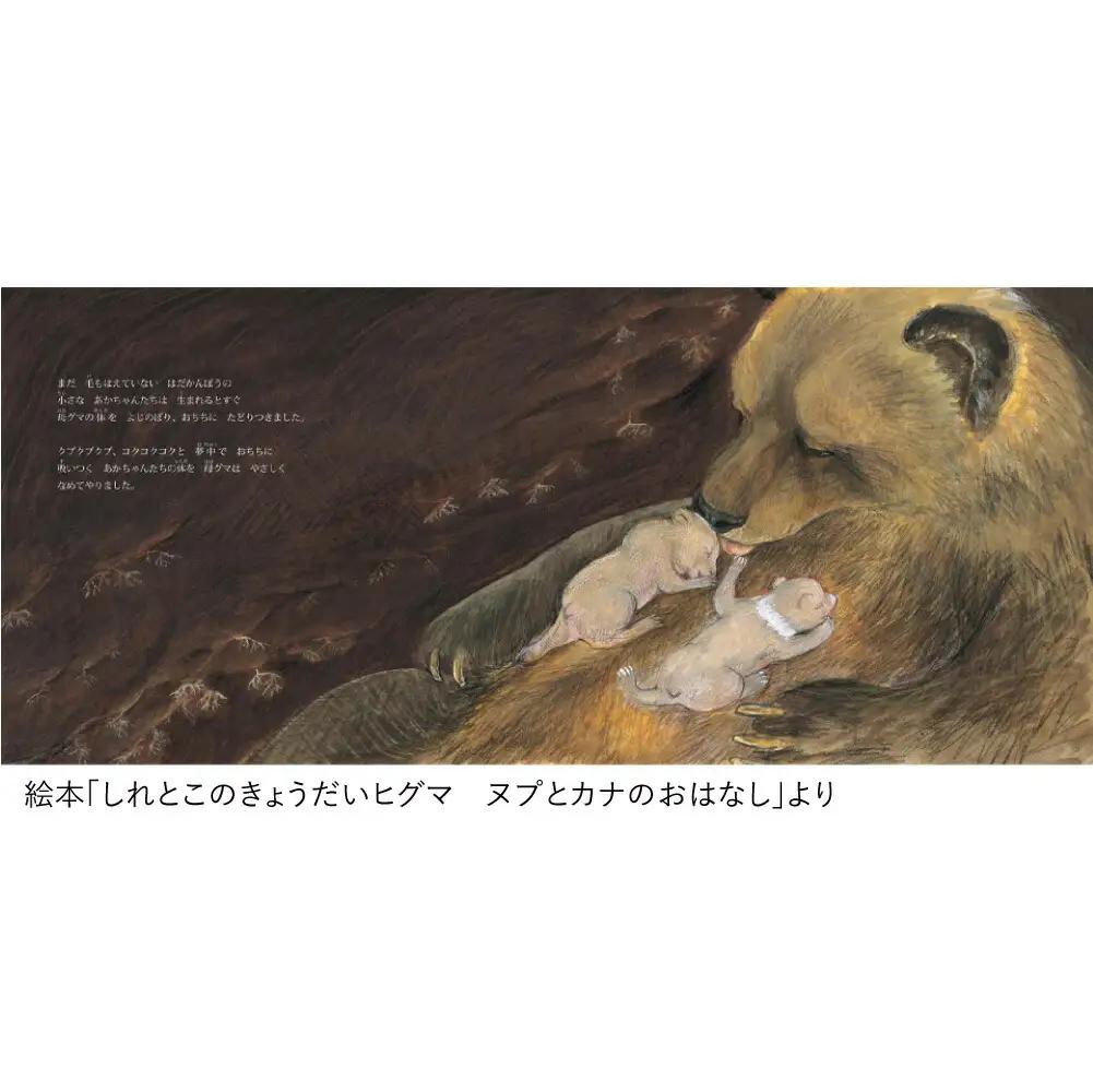 知床財団オリジナル絵本セット_雑貨   